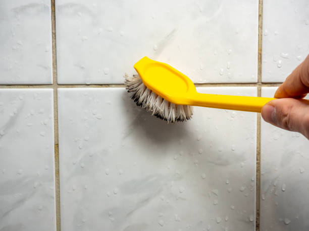 Best Mold Removal Near Me  in Beavercreek, OR