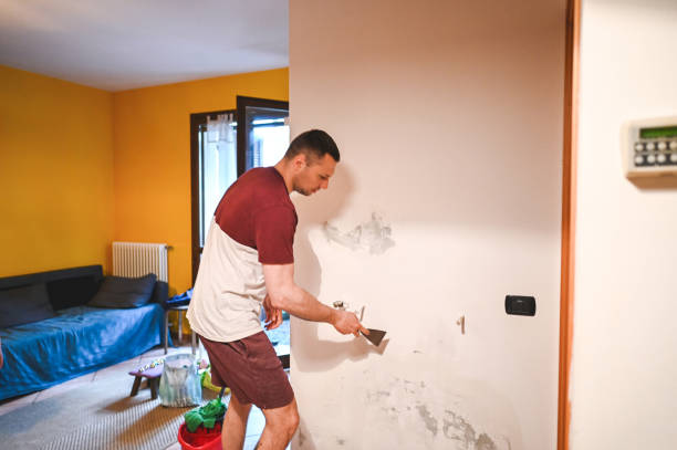 Office Mold Removal Services in Beavercreek, OR